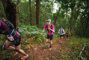 BIB: 
                            <button type="button" onclick="openModal(22445161)" class="btn btn-primary btn-sm float-right btn-popup" data-toggle="modal" data-target=".modal-high-quality">
                        <i class="fas fa-shopping-cart"></i> Add to Cart
                    </button>
                                            <button type="button" onclick="isThisMe(22445161, true)" class="btn btn-success btn-sm float-right btn-popup btn-isme hidden" data-toggle="tooltip" data-placement="bottom" title="นี่คือรูปของคุณใช่ไหม คลิกที่นี่เพื่อเอาเข้าอัลบั้ม">
                        <i class="fas fa-plus"></i> Add to album
                    </button>
                    <button type="button" onclick="isThisMe(22445161, false)" class="btn btn-warning btn-sm float-right btn-popup btn-isnotme hidden">
                        <i class="fas fa-ban"></i> Remove from album
                    </button>